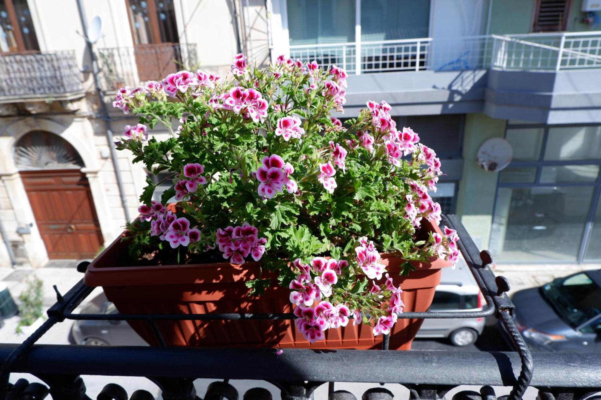 Sike Appartamenti Syrakus Exterior foto